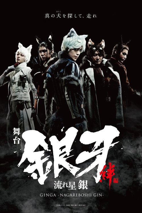 Ginga -Nagareboshi Gin- Kizuna Hen (The Ties of Friendship)