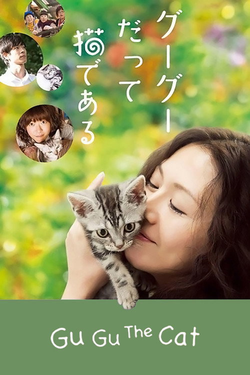 Gou Gou, the Cat
