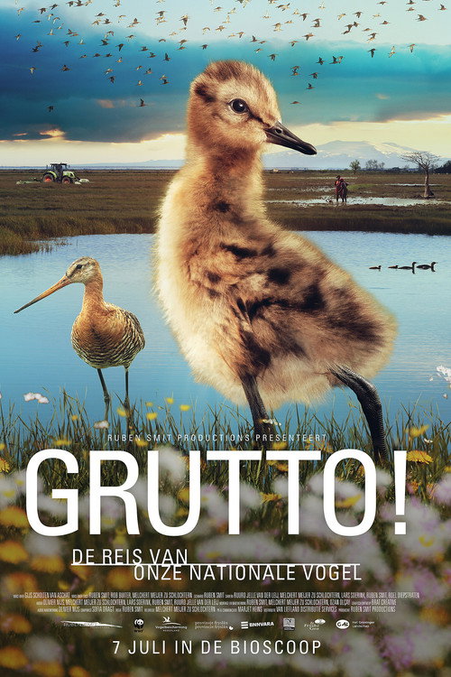 Grutto!