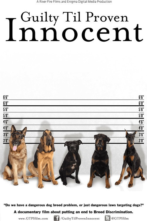 Guilty 'Til Proven Innocent