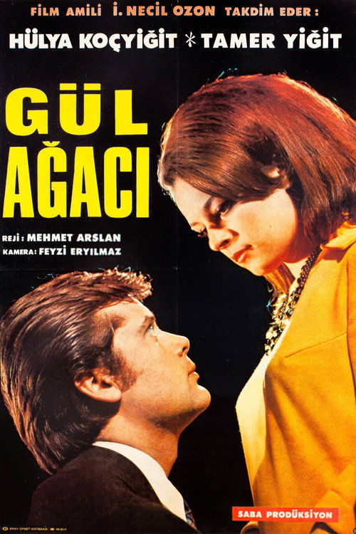 Gül agaci