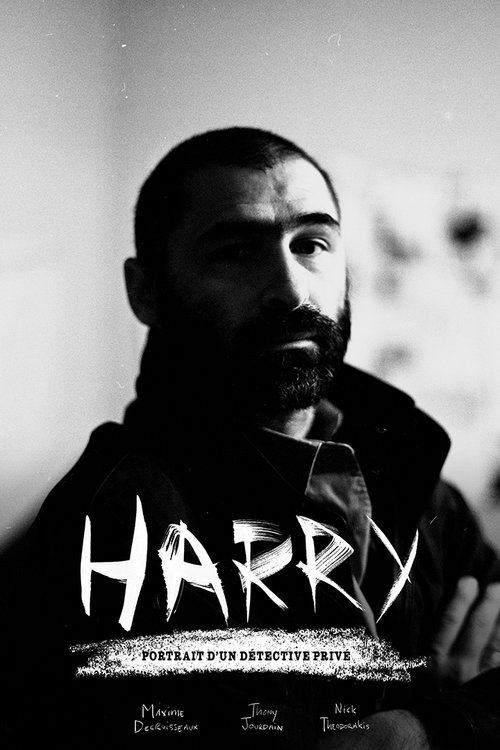 Harry: Portrait d'un détective privé