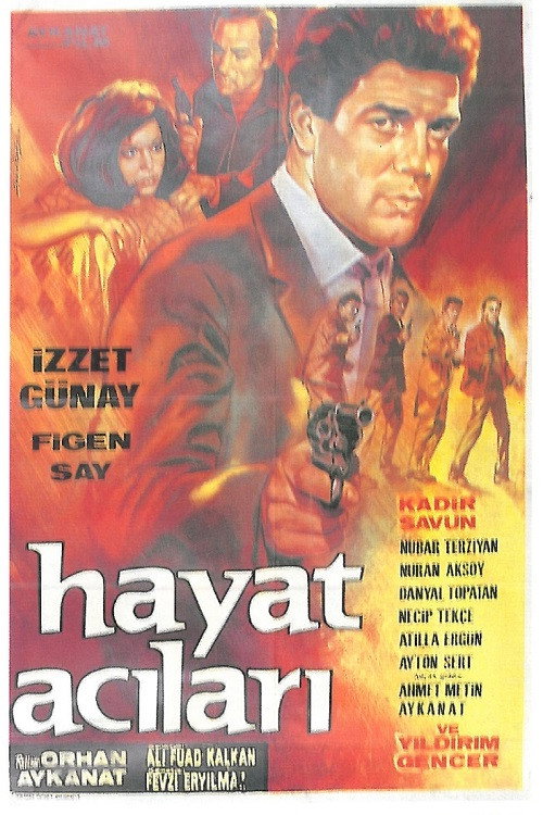 Hayat acilari