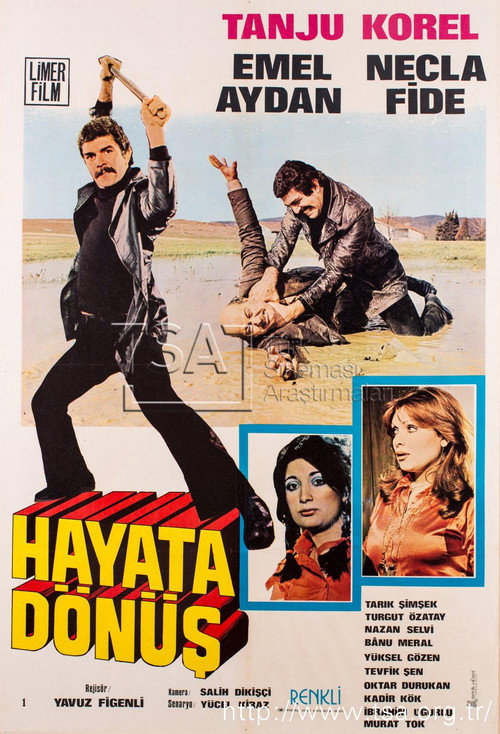 Hayata Dönüs