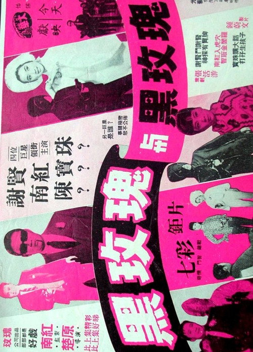 Hei mei gui yu hei mei gui