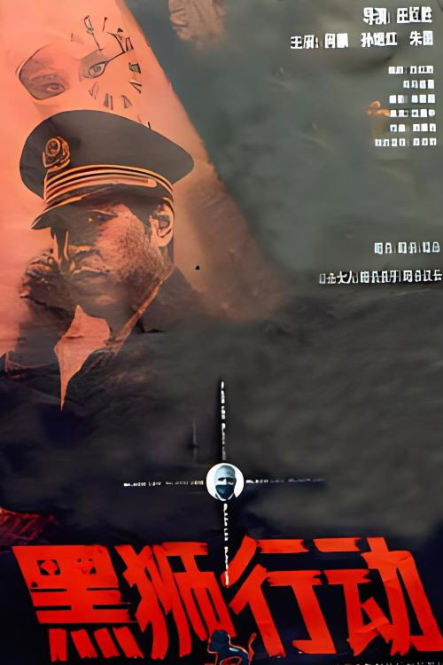 Hei shi xing dong