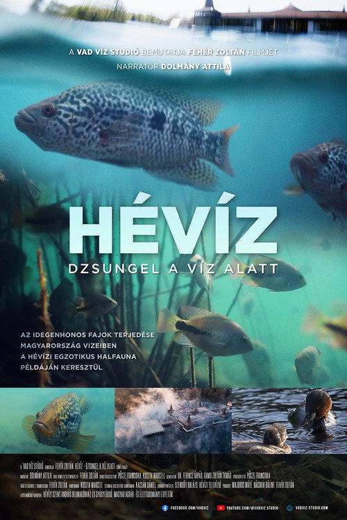 Hévíz: Dzsungel a víz alatt