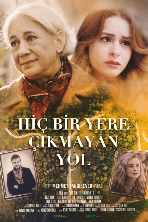 Hicbir Yere Cikmayan Yol