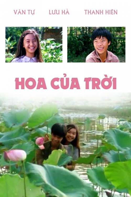 Hoa Cua Troi