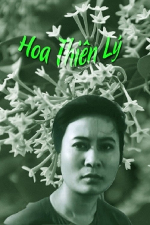 Hoa thiên lý
