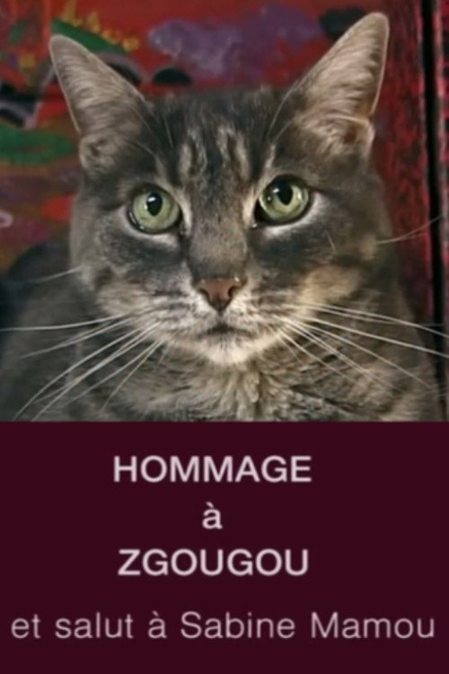 Homage to Zgougou the Cat