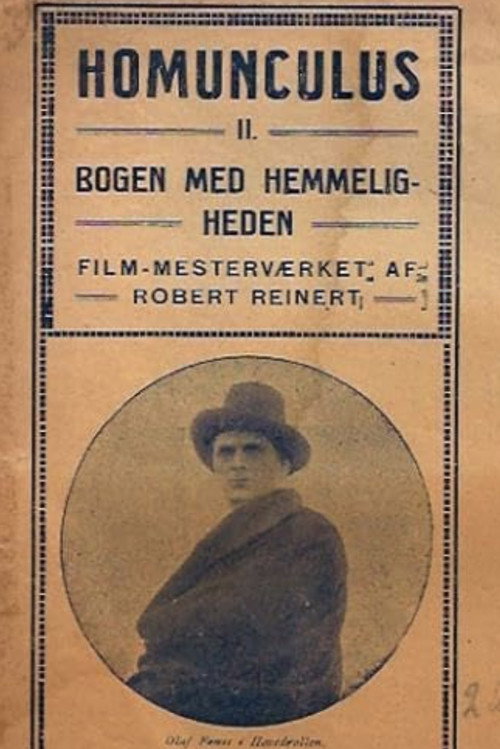 Homunculus, 2. Teil - Das geheimnisvolle Buch
