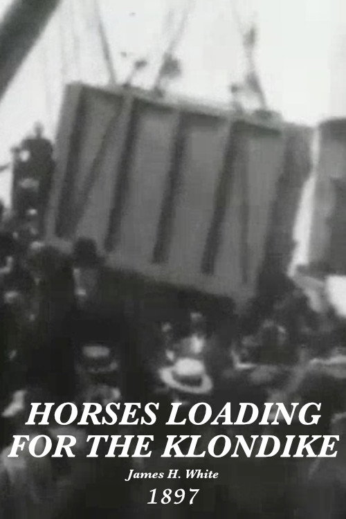 Horses Loading for Klondike