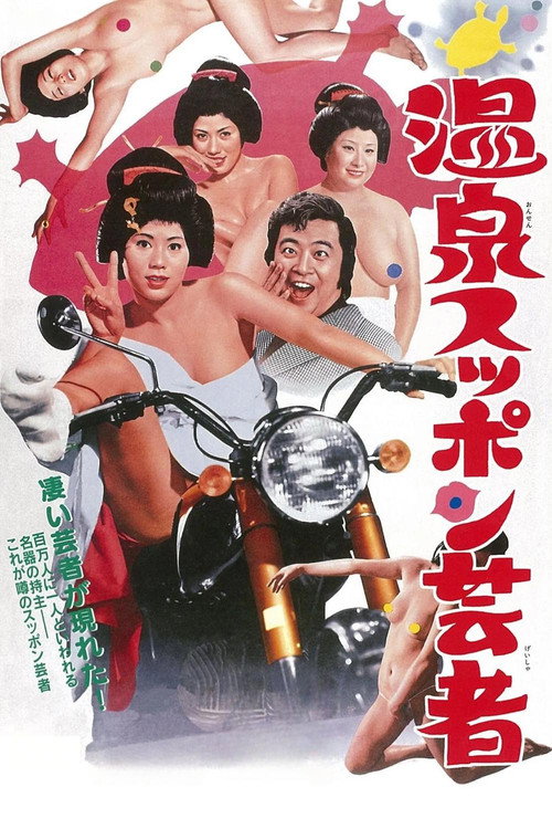 Hot Springs Turtle Geisha