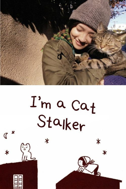 I'm a Cat Stalker