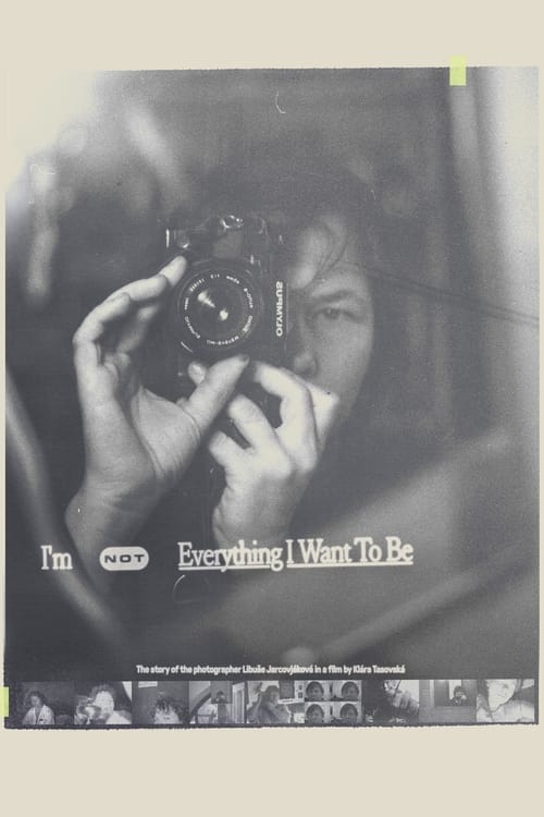 I’m not Everything I Want to Be
