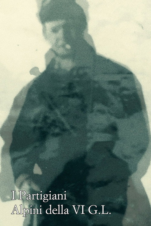 I partigiani alpini della VI G.L.