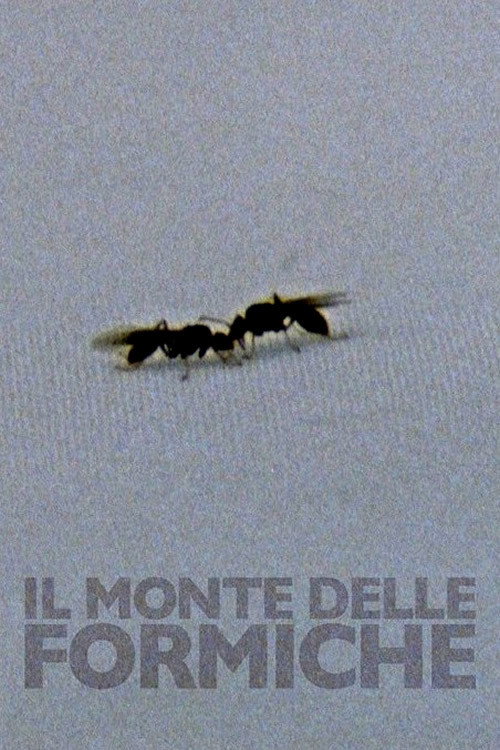 Il monte delle formiche