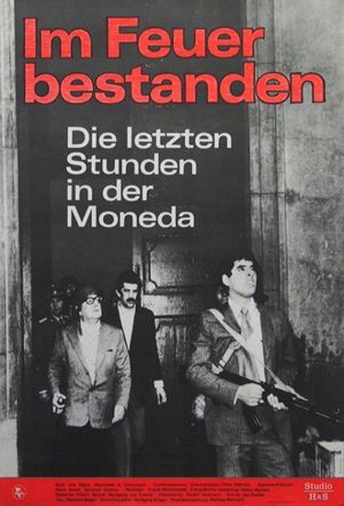 Poster for Im Feuer bestanden