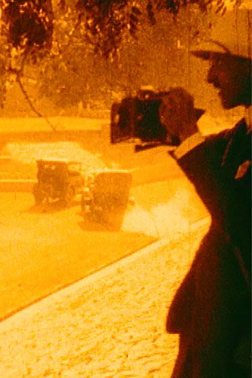 Images of the Orient: Vandal Tourism