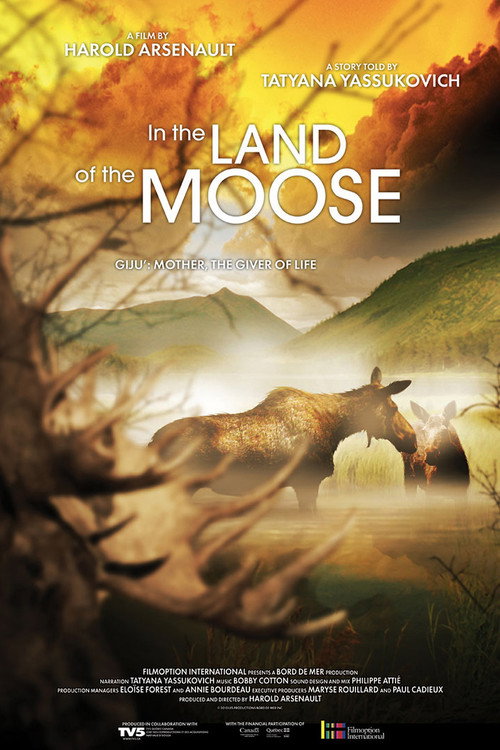 In the land of the moose