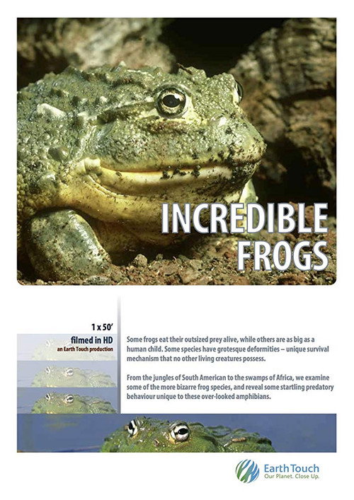 Incredible Frogs
