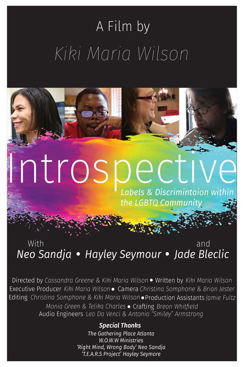 Introspective-Labels And Discrimination Within The Lgbtq Community