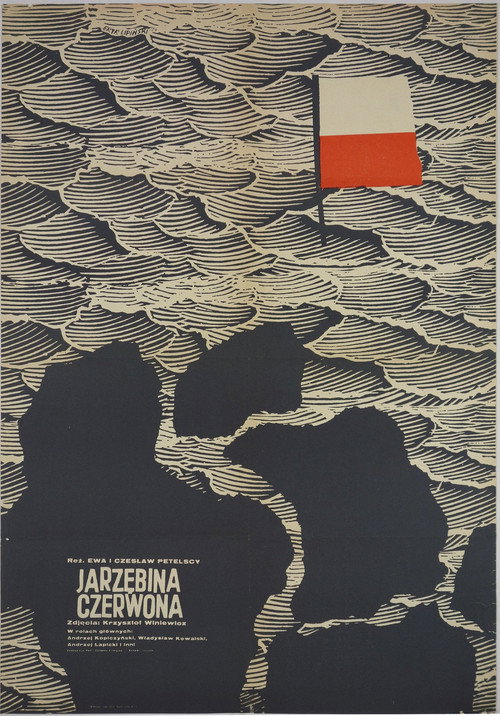 Jarzebina czerwona