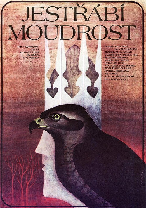Jestrábí moudrost