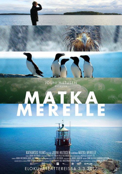 Journey to the Sea