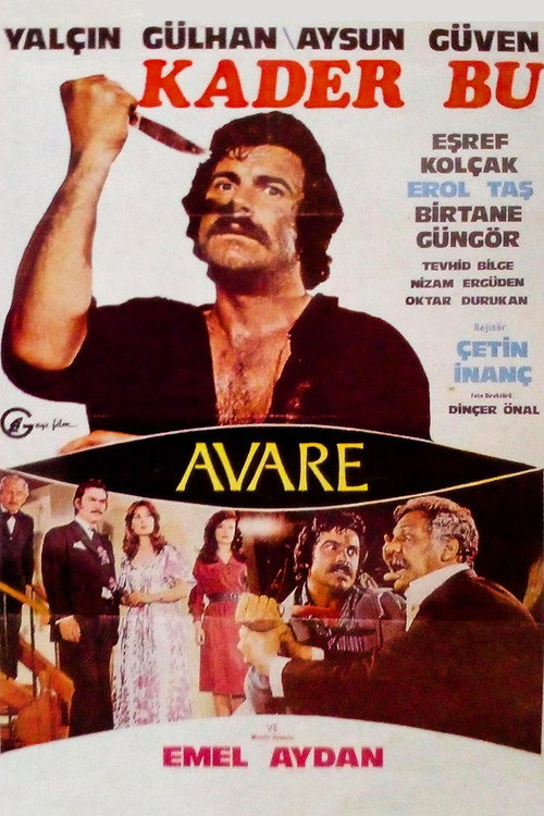 Kader Bu / Avare