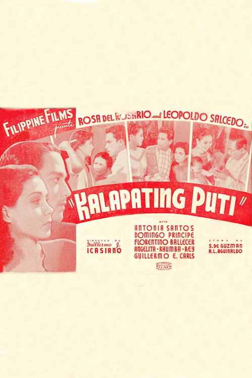 Kalapating puti