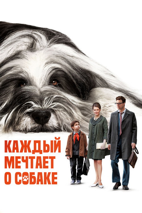Kazhdyy mechtaet o sobake