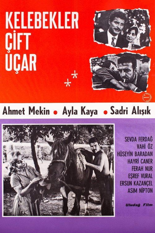 Kelebekler çift uçar