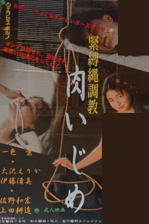 Kinbaku nawa chôkyô