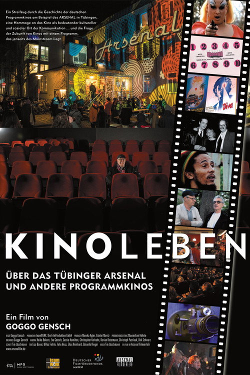 Kinoleben - Über das Tübinger Arsenal und andere Programmkinos