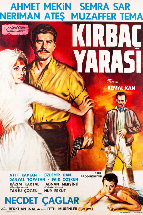 Kirbaç yarasi