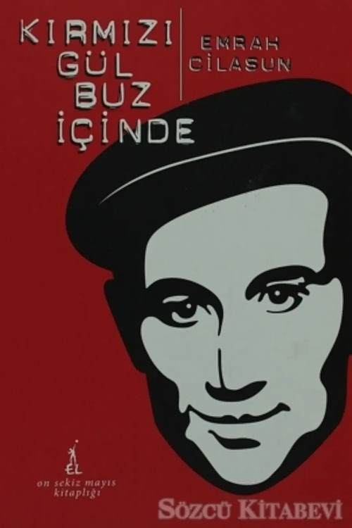 Kirmizi gül buz içinde