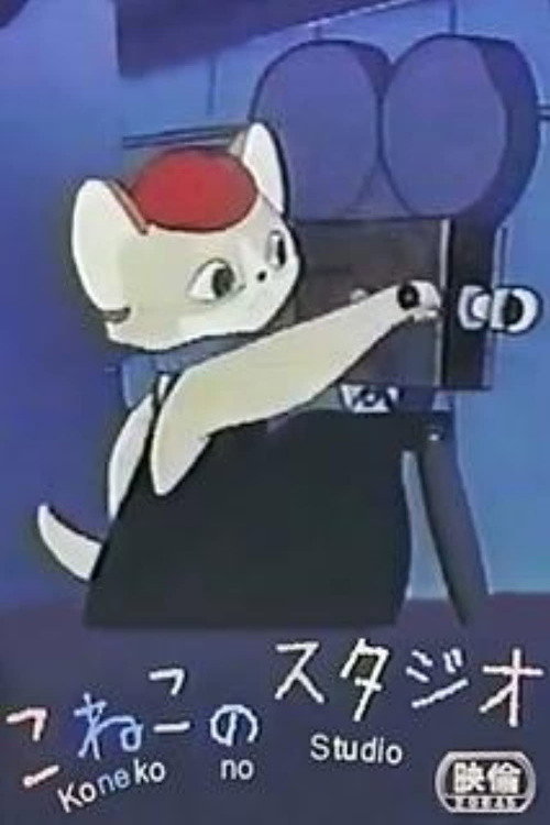 Kitten's Studio