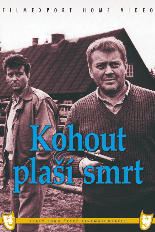 Kohout plasí smrt