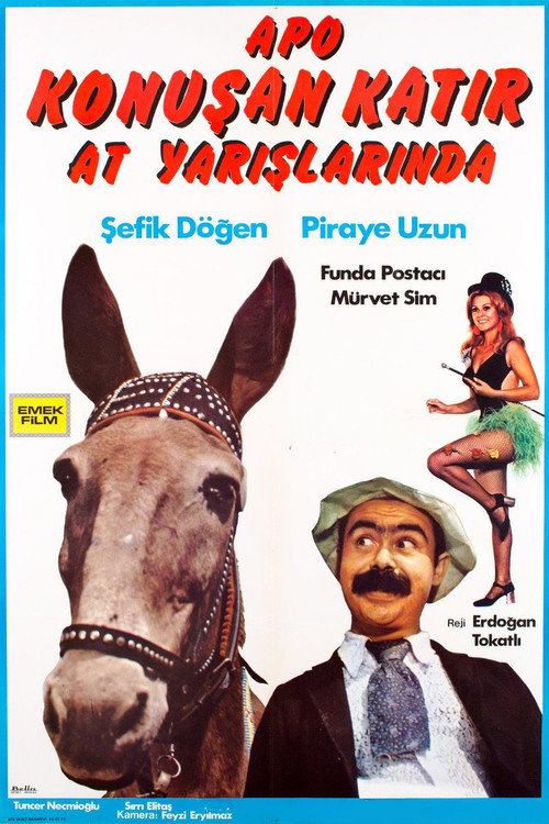 Konusan Katir at Yarislarinda