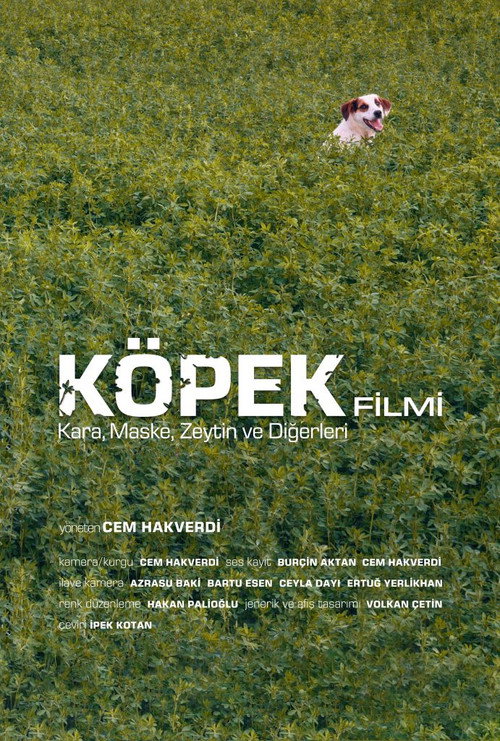 Köpek filmi