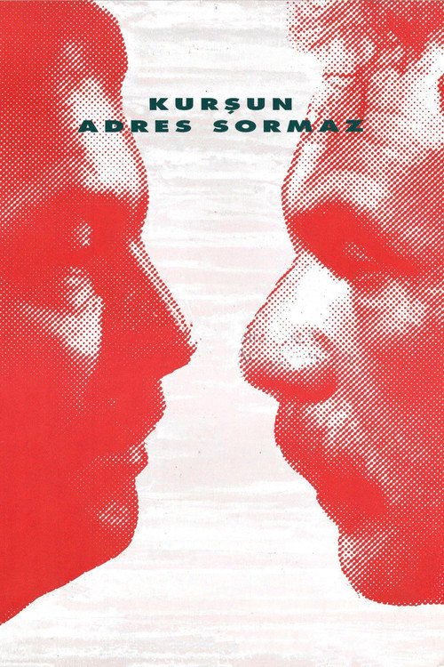Kursun Adres Sormaz