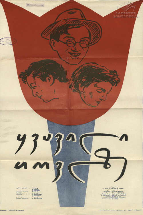 Kvavili tovlze