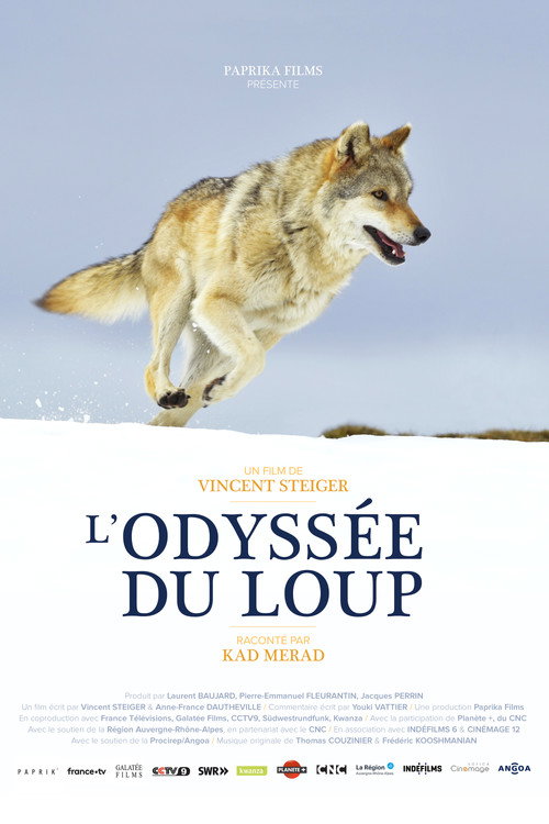 L'Odyssée du Loup