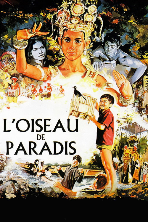 L'oiseau de paradis