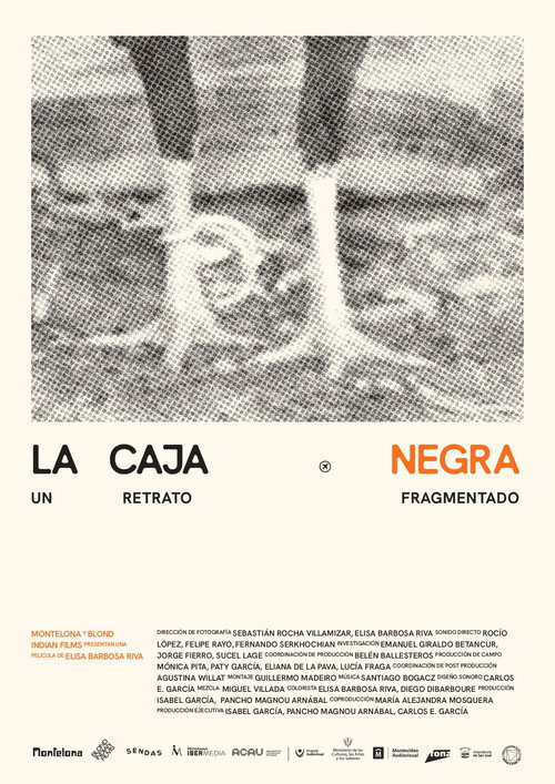 Poster for La caja negra