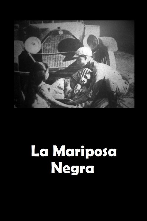 La Mariposa negra