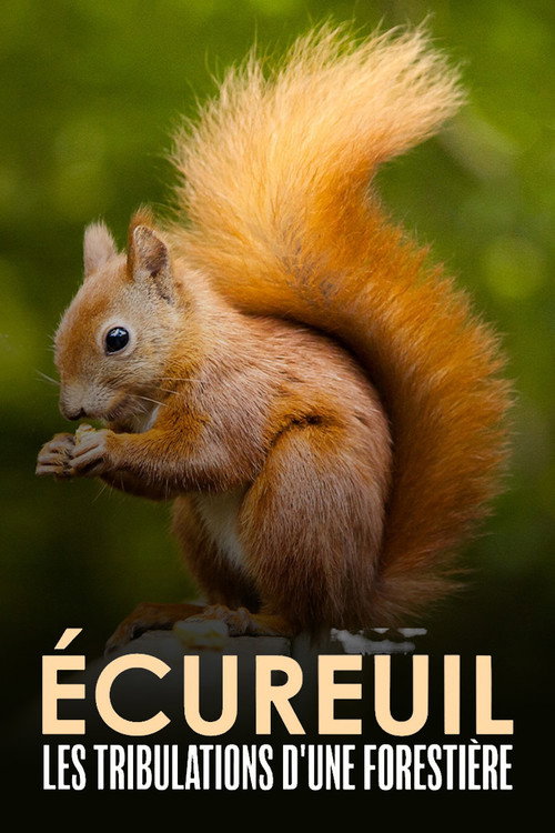 Lady Squirrel