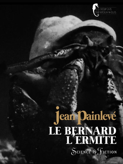 Le Bernard l'ermite